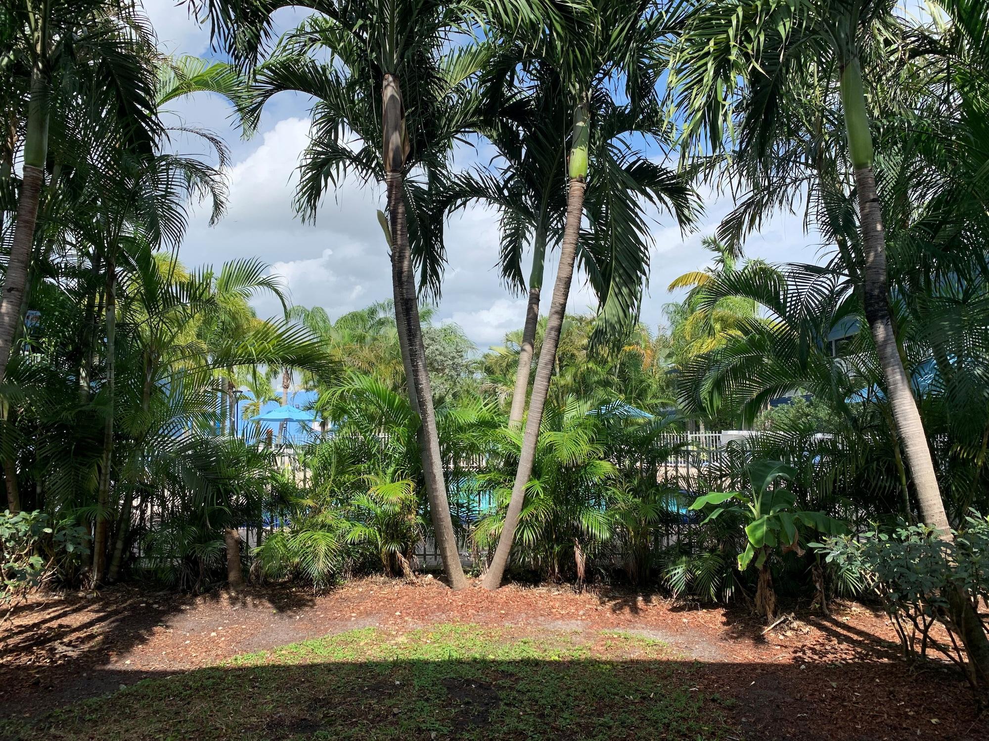 Rodeway Inn & Suites Fort Lauderdale Airport & Cruise Port Dania Beach Eksteriør billede
